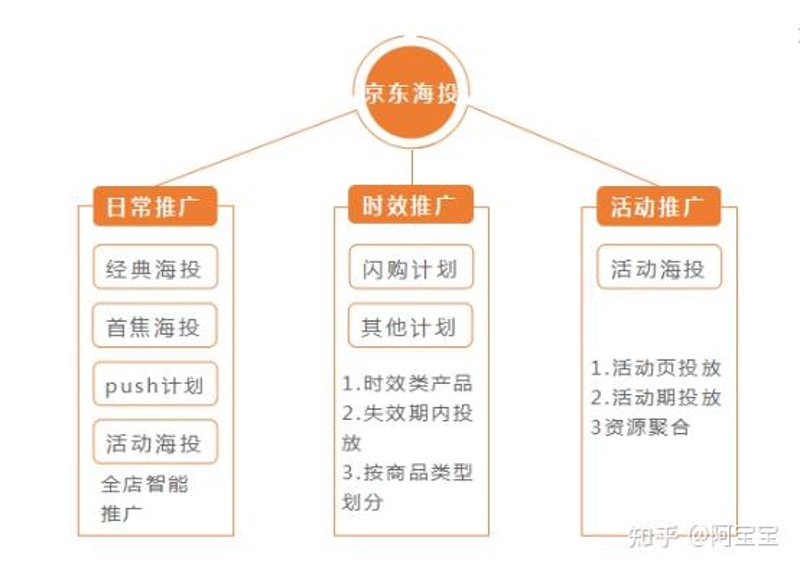 带货ROI计算：如何用数据决定你的营销策略？