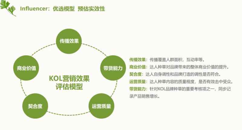 直播带货如何提高ROI？解析关键步骤